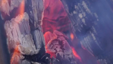 Bonfire in the forest. Close up shot. Stock Footage 83372606