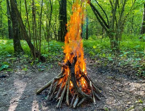 Bonfire in the forest during the day. Camp Fire in the forest, flames and s.. Stock Photos