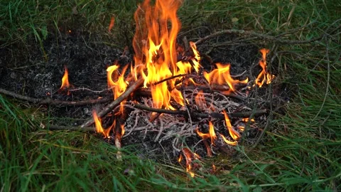 Bonfire in the forest in the evening among the grass Stock-Footage 158816164