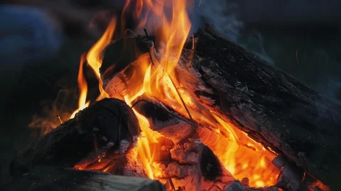 Bonfire in the forest in the evening Stock Footage 109533007