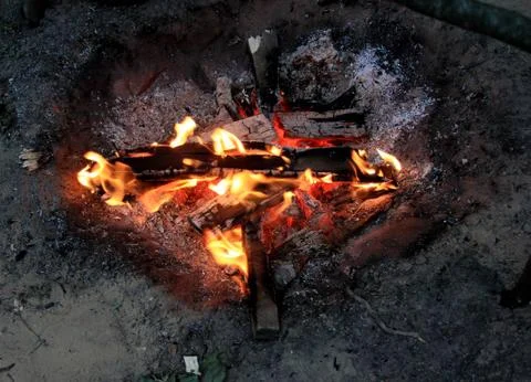 A bonfire in a forest in the evening Stock Photos