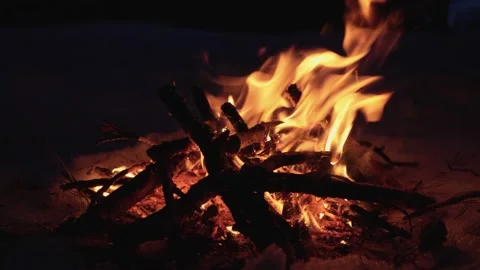 Bonfire in the forest. Fire and bright flames illuminate the winter forest. Stock Footage 232650768