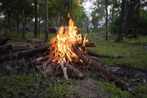 Bonfire forest - fire camping burning wood Stock Photos