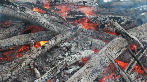 Bonfire in the forest. Видео 34211827