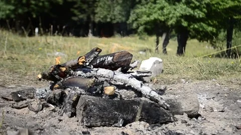 Bonfire in the forest 스톡 동영상 41541762