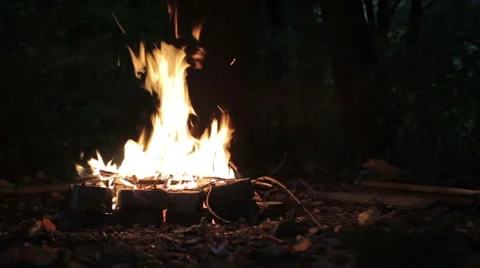 Bonfire in the  forest Stock-Footage 46303727