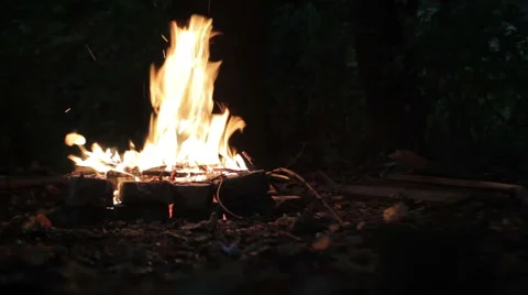 Bonfire in the forest Vídeos de archivo 46303791