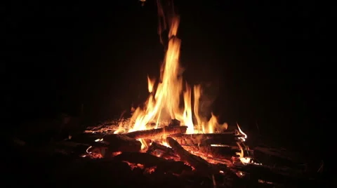 Bonfire in the  forest Stock-Footage 47273582