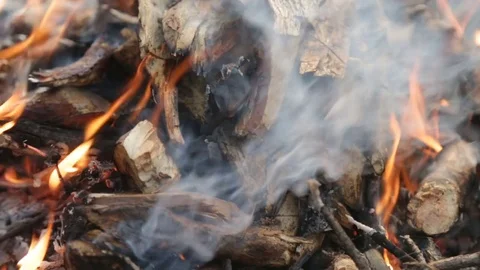 Bonfire in the forest Video stock 73681087