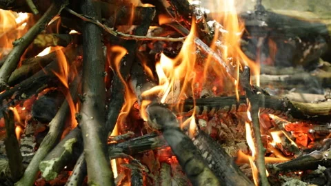 Bonfire in the forest Video stock 91325390