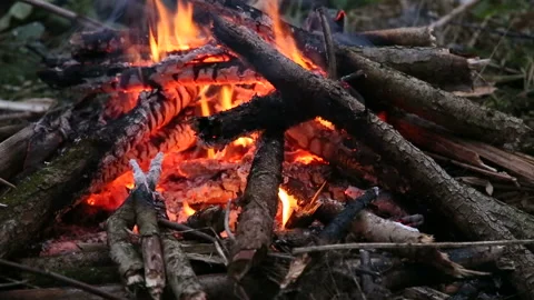 Bonfire in the forest Stock Footage 93688298