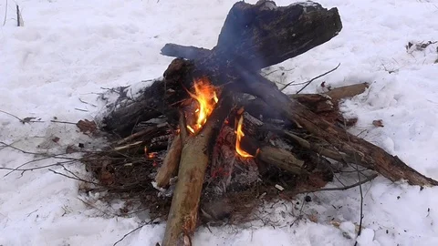 Bonfire in Forest Stock Footage 100451987