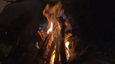 Bonfire in the forest Stock Footage 130855624
