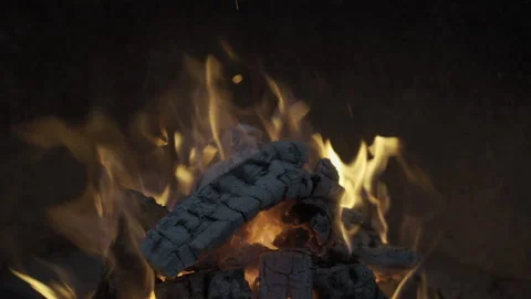 Bonfire in the forest  Stock Footage 141509922