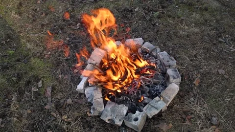 Bonfire in the forest Stock Footage 155475204