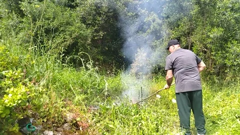 Bonfire in the forest Vídeos de archivo 308076679