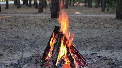 Bonfire in the forest in nature. Flame, fire and sparks. Vidéo 150236104