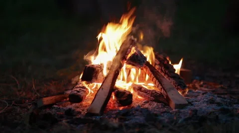Bonfire in the forest at night Video stock 52278647