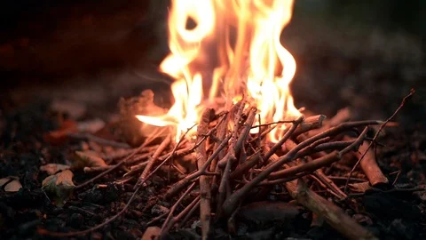 Bonfire in forest at night Stock Footage 98146727