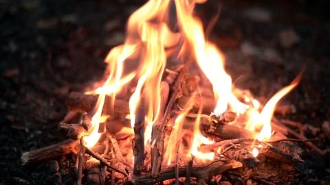 Bonfire in forest at night Stock Footage 98146729