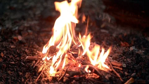 Bonfire in forest at night Stock Footage 98146750