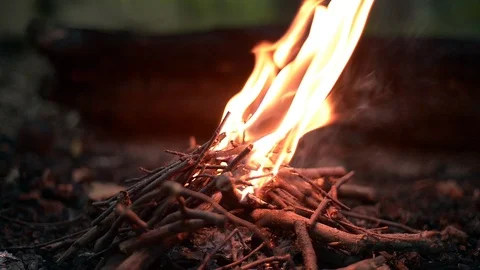 Bonfire in forest at night Stock Footage 98146765