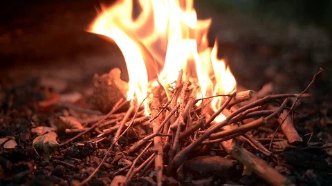 Bonfire in forest at night Stock Footage 98146806