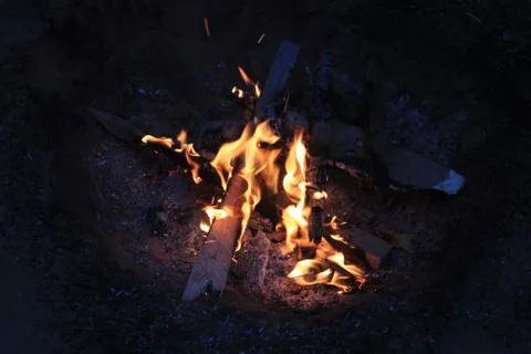 A bonfire in a forest at the night Stock Photos