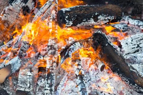 Bonfire in the forest. Stock Photos