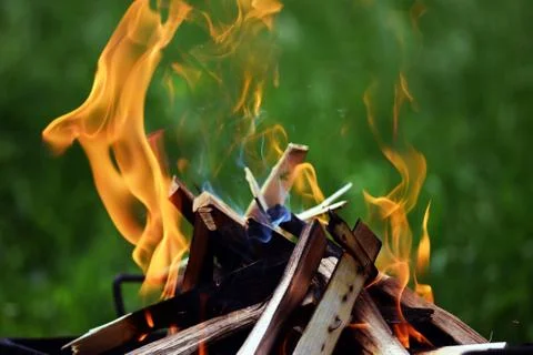 Bonfire in the forest Stock Photos