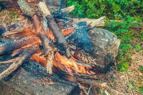 Bonfire in the forest. Stock Photos