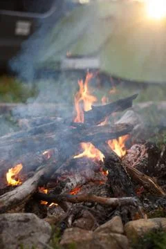 Bonfire in the forest Stock Photos