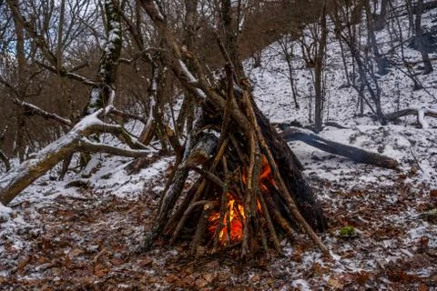 Bonfire in the forest Stock Photos