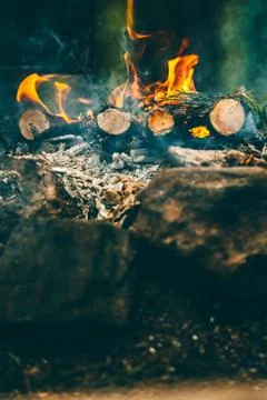 Bonfire in the forest Stock Photos
