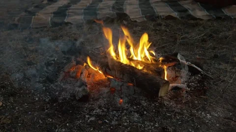 Bonfire in forest. Picking coals with a stick Stock Footage 131733657