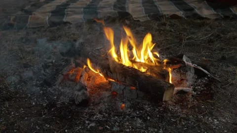 Bonfire in forest. Picking coals with a stick Видео 131733660