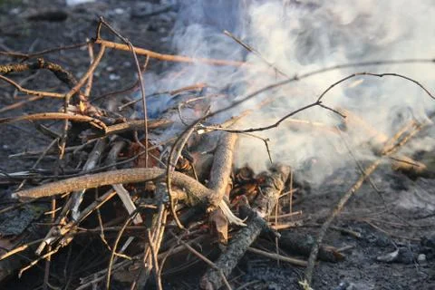 Bonfire in the forest. Picnic Stock Photos