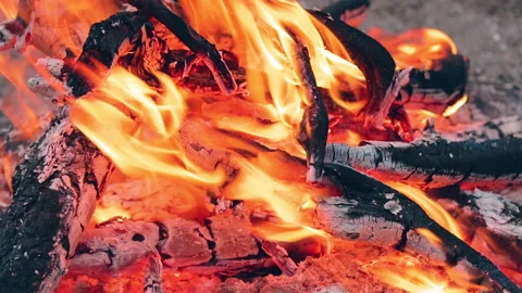 A Bonfire in the Forest - Slow Motion Stock Footage 157495639