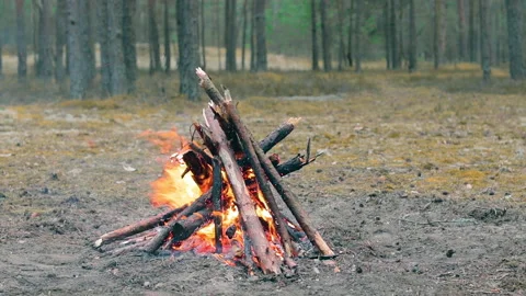 A Bonfire in the Forest - Slow Motion Stock Footage 157605871