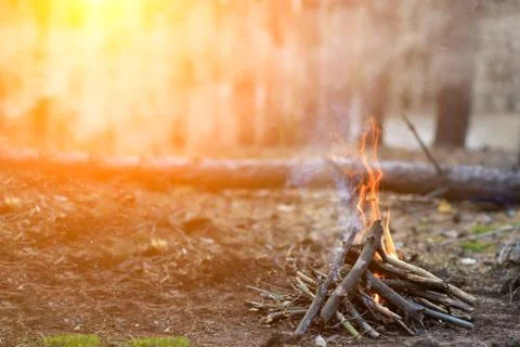 Bonfire in the forest at sunset. Space for text Stock Photos