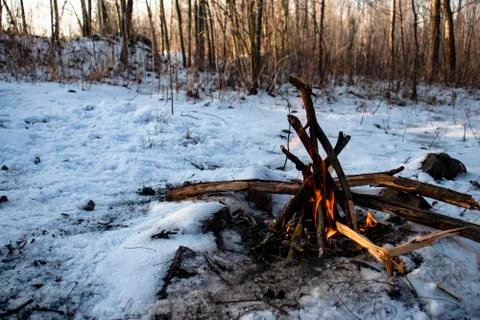 Bonfire in the forest at winter Stock Photos