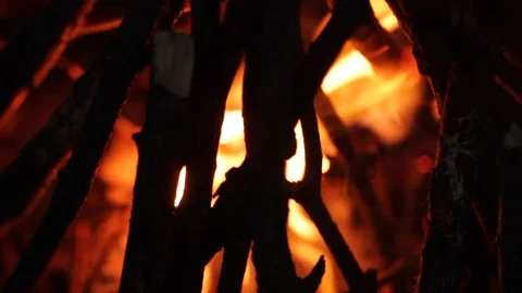Bonfire in the forest.Camping.Fire Stock Footage 99982265