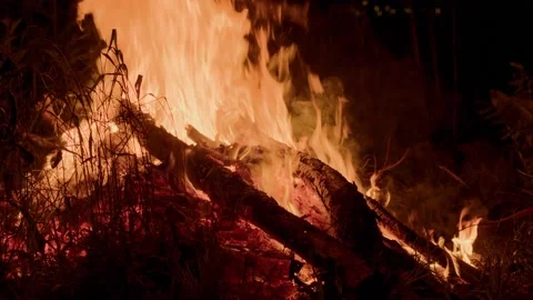 Bonfire with glowing coals Vídeos de archivo 200432012