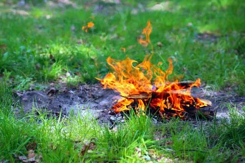 Bonfire on grass. Stock Photos