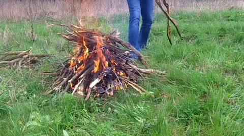 Bonfire on, green grass Stock Footage 41103983
