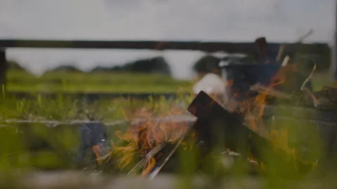 BonFire in a Green Meadow Stock Footage 262575561