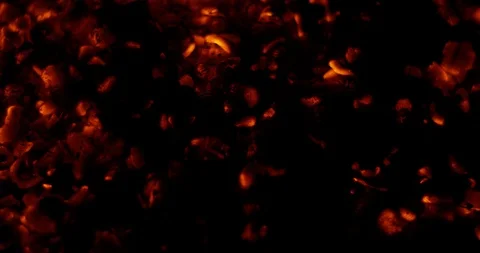 Bonfire Hot Red Coals Stock Footage 102140486