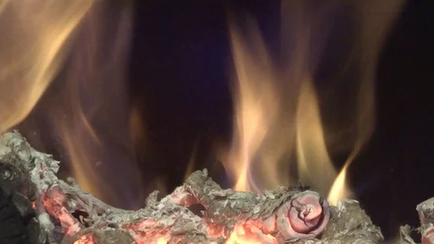 Bonfire inside. Living flame, coal and ashes Stock Footage 123994495
