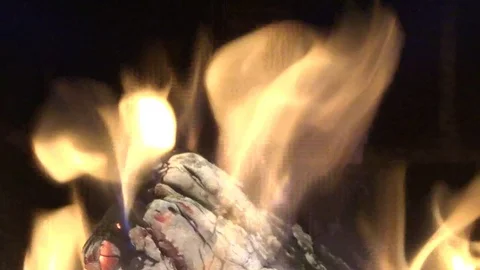 Bonfire inside. Living flame, coal and ashes Stock Footage 124320527
