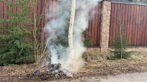 Bonfire of last year's old leaves and branches, spring cleaning of the territory Stockbeeldmateriaal 305529409